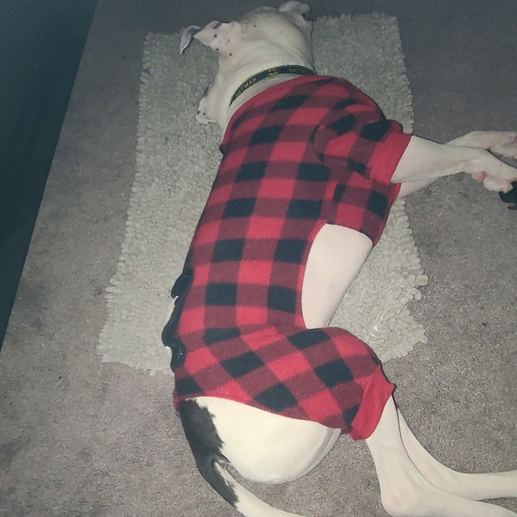 Meet your Posher, Wanda - Picture 2 of 8